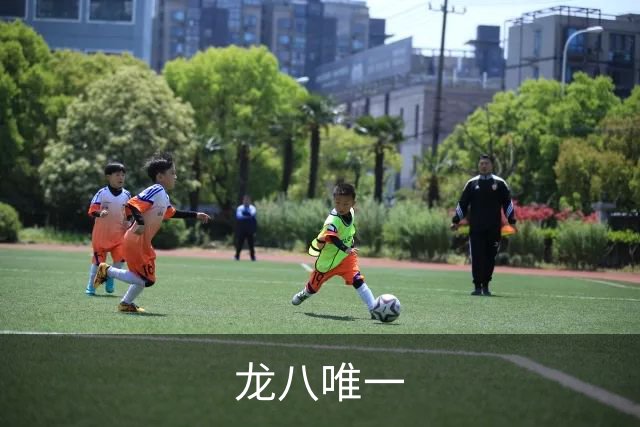 关于龙八唯一
